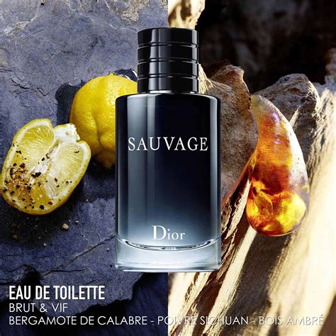 dior sauvage eau de parfum notes|dior sauvage perfume engraved.